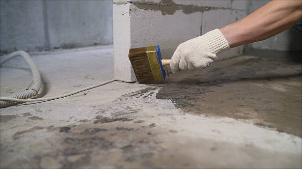 Top rated local Waterproofing specialists in Norvell, MI